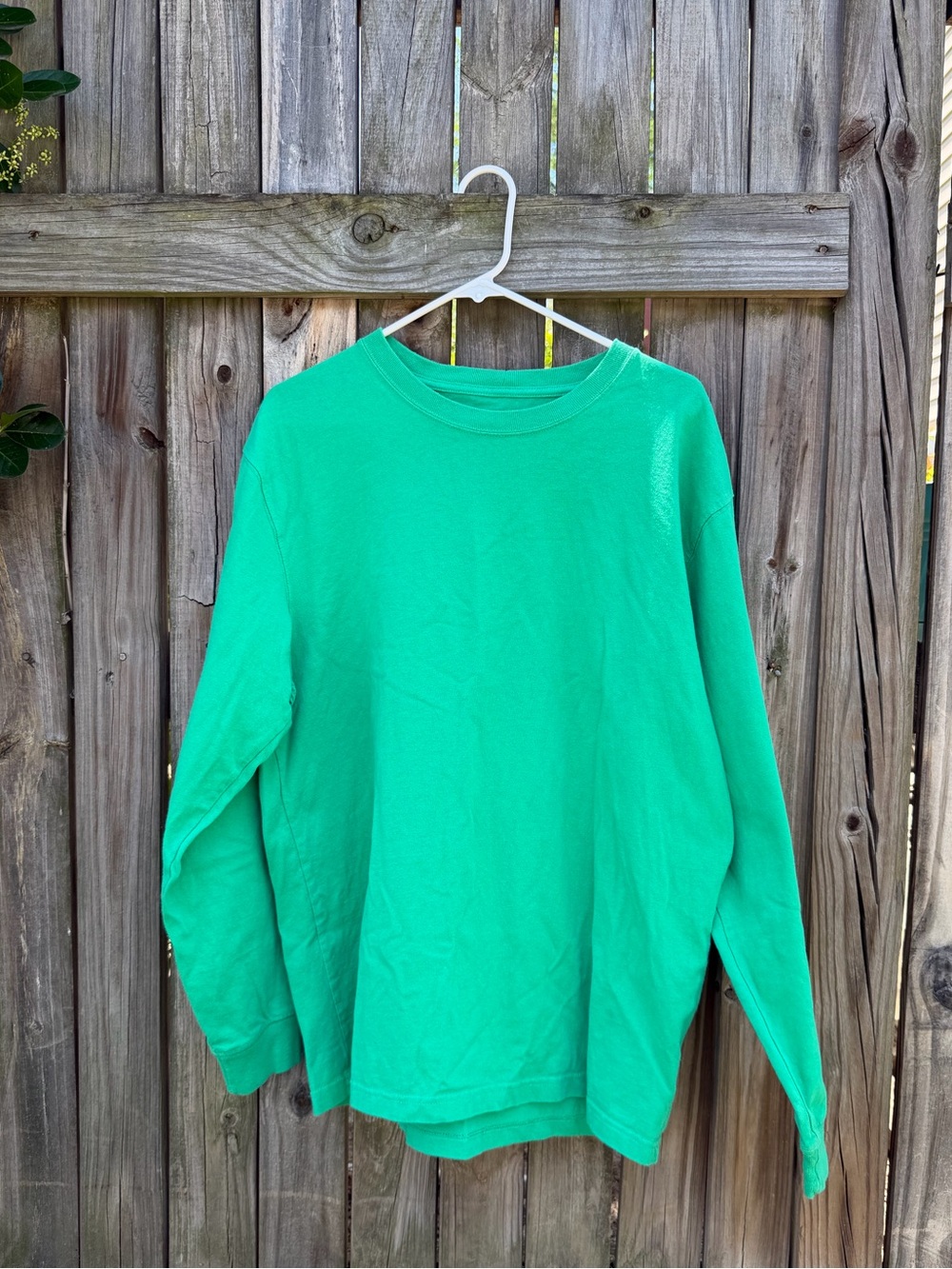 Carhartt Relaxed Fit Long Sleeve Graphic Shirt